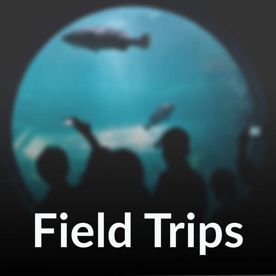 fieldtrips Field Trips